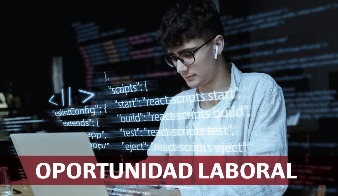Docente para la Carrera de Desarrollo de Software