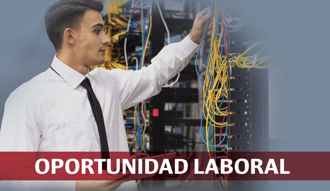 Docente para la Carrera de Instalación y Mantenimiento de Redes